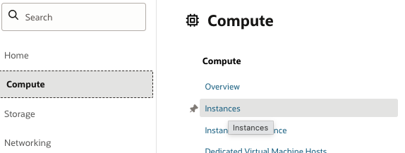Compute > Instance 메뉴